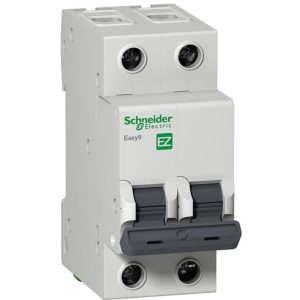 SCHNEIDER-E9 INTERRUP. T.M. 2 X 25A 4,5KA