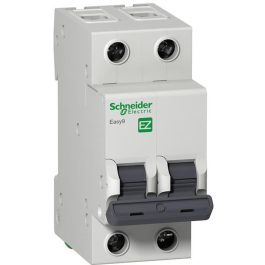 SCHNEIDER-E9 INTERRUP. T.M. 2 X 40A 4,5KA